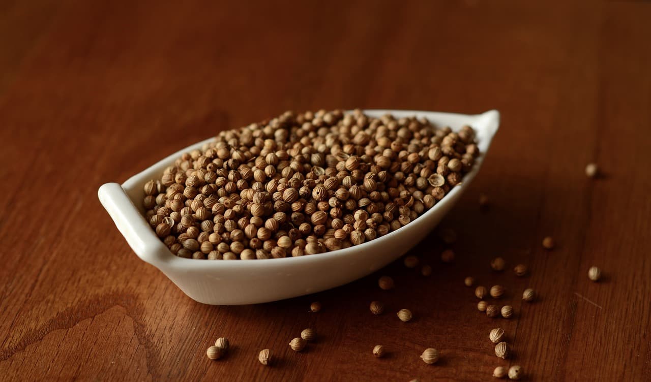 coriander