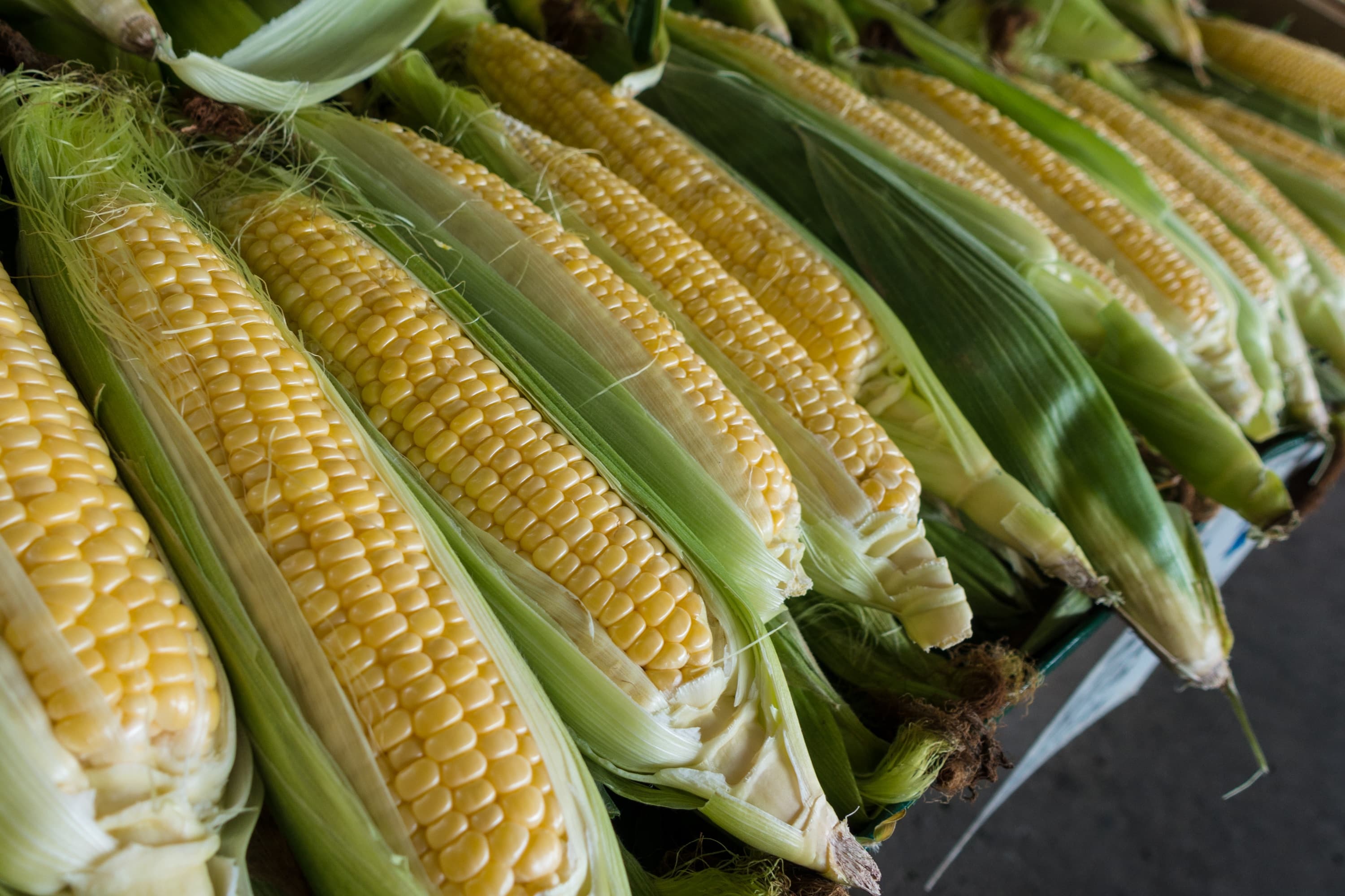yellowMaize